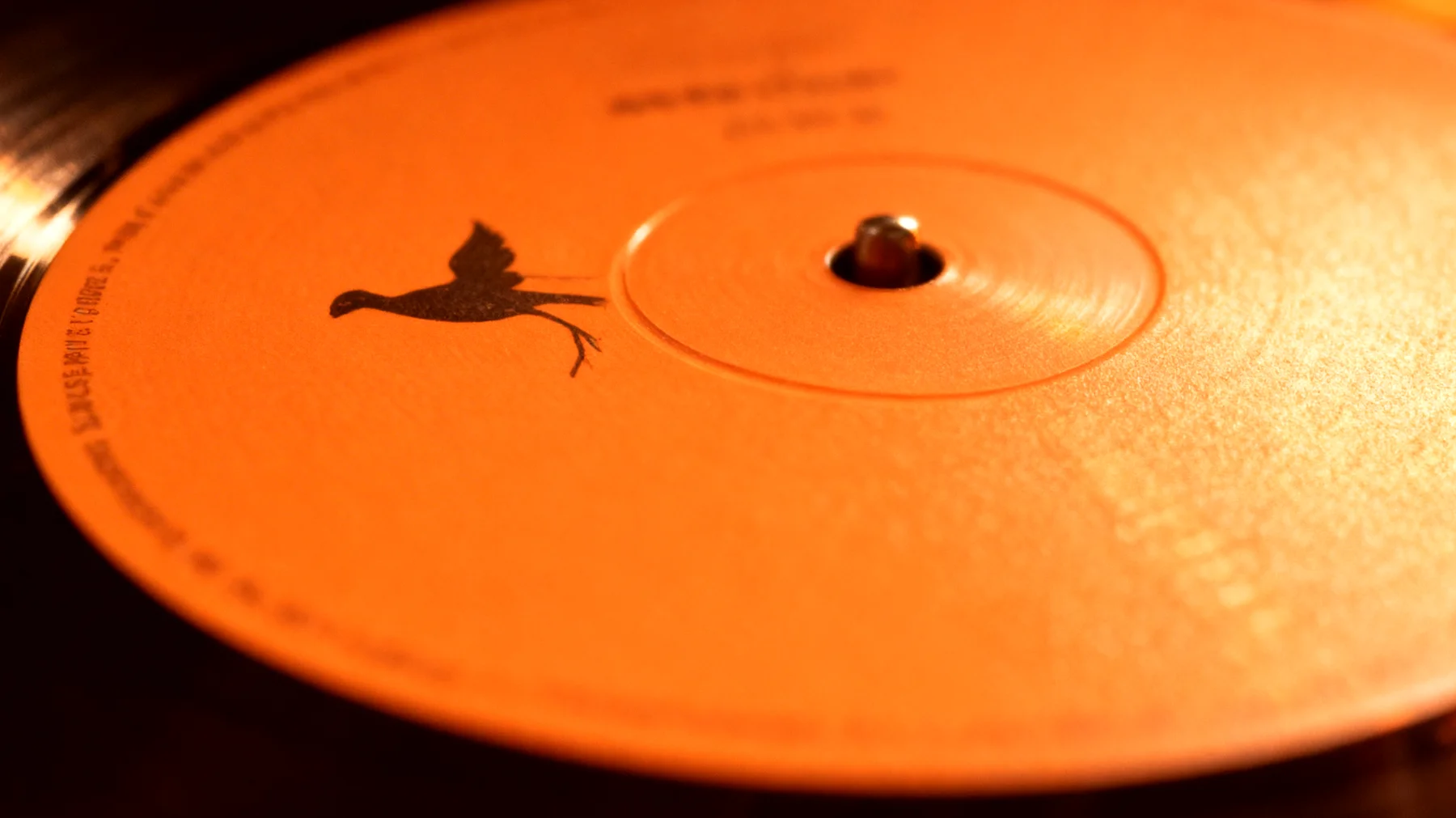 Forbidden Fruit2026-02-13T18:48:05.851Z"